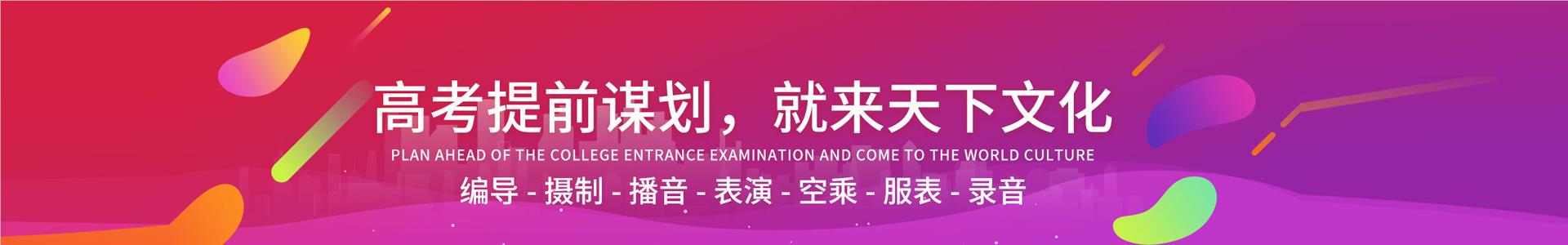 杭州天下文化高考艺考培训机构