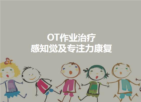 北京大米和小米OT作业治疗定制干预