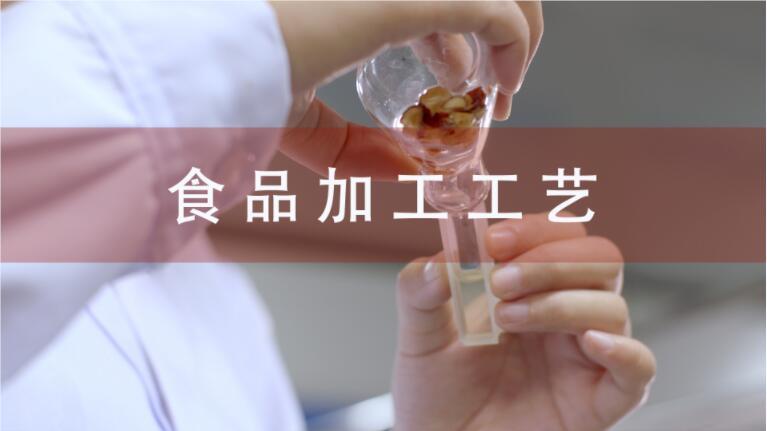 郑州食品加工工艺中专培训课程