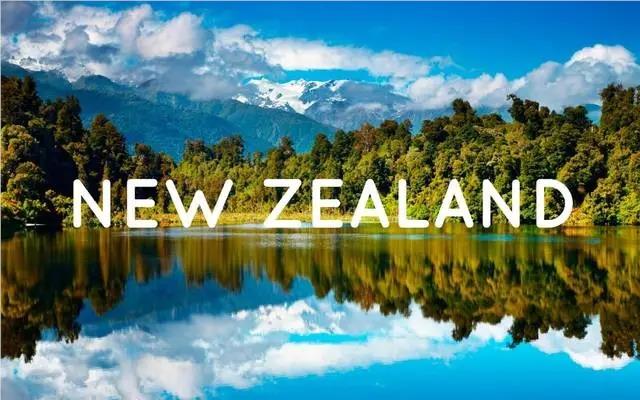 大连新航道新西兰留学申请规划