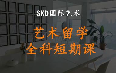 青岛SKD艺术留学全科特色课程
