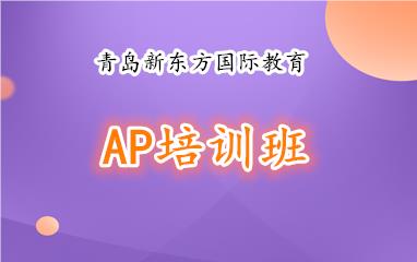 青岛新东方AP强化班培训