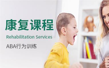 北京东方启音儿童自闭症干预训练