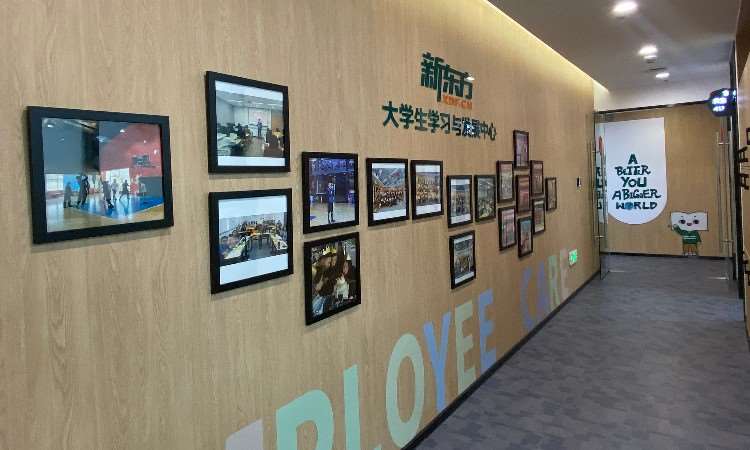 大连新东方考研培训学校基本状况