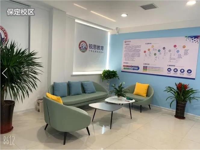 保定锐思教育口碑大揭秘