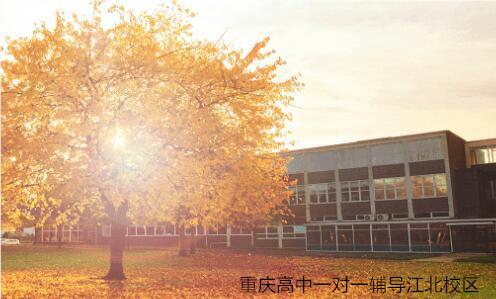 重庆江北高中一对一辅导学校环境