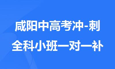 咸阳中高考冲-刺全科小班一对一补习机构名单精选汇总