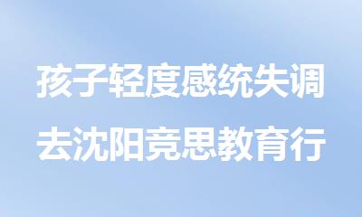 孩子轻度感统失调去沈阳竞思教育行不行
