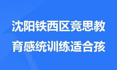 沈阳铁西区竞思教育感统训练适合孩子训练吗