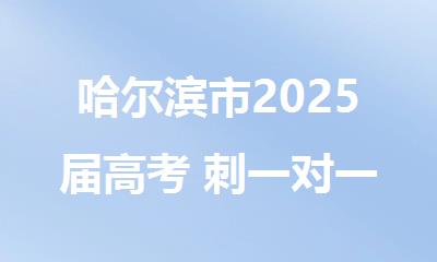 哈尔滨市2025届高考 刺一对一辅导班哪家实力强
