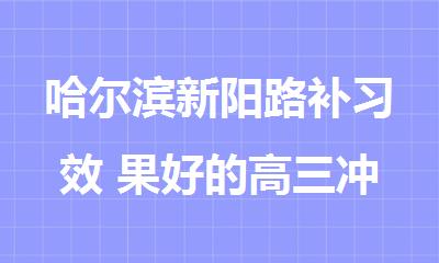 哈尔滨新阳路补习效 果好的高三冲 刺集训学校