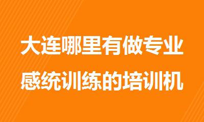 大连哪里有做专业感统训练的培训机构今日盘点