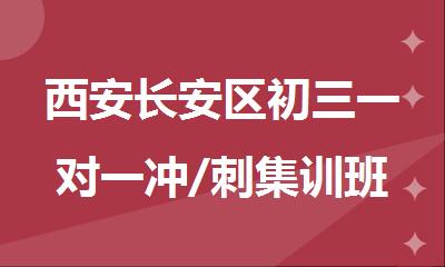 西安长安区初三一对一冲/刺集训班精选名单出炉