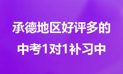承德地区好评多的中考1对1补习中心