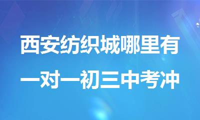 西安纺织城哪里有一对一初三中考冲刺班
