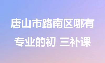 唐山市路南区哪有专业的初 三补课辅导机构