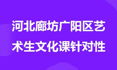 河北廊坊广阳区艺术生文化课针对性学习中心