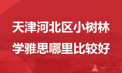天津河北区小树林学雅思哪里比较好