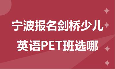 宁波报名剑桥少儿英语PET班选哪个机构精选人气排行榜名单出炉