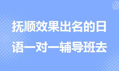抚顺效果出名的日语一对一辅导班去哪找