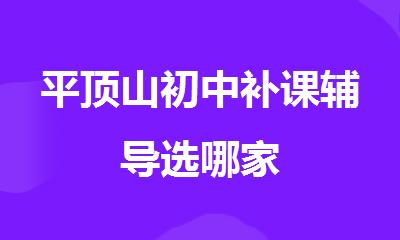 平顶山初中补课辅导选哪家