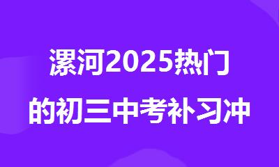 漯河2025热门的初三中考补习冲/刺班名单精选出炉