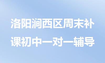 洛阳涧西区周末补课初中一对一辅导班哪家好