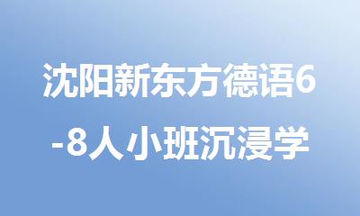 沈阳新东方德语6-8人小班沉浸学德语