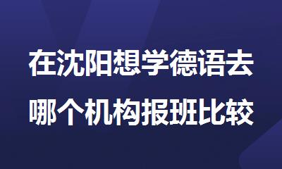 在沈阳想学德语去哪个机构报班比较好