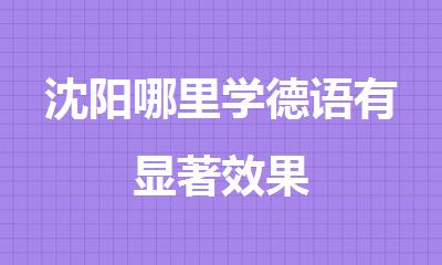 沈阳哪里学德语有显著效果