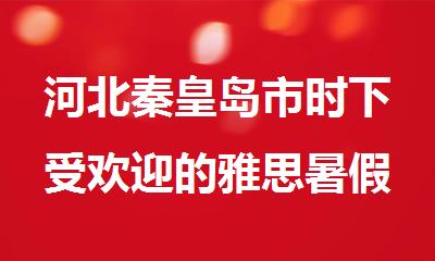 河北秦皇岛市时下受欢迎的雅思暑假培训机构