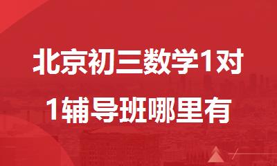 北京初三数学1对1辅导班哪里有