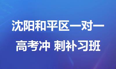 沈阳和平区一对一高考冲 刺补习班找哪家靠谱