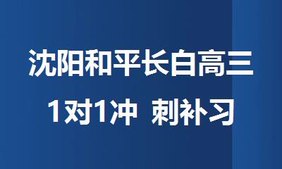 沈阳和平长白高三1对1冲 刺补习哪家机构值得信赖