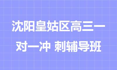 沈阳皇姑区高三一对一冲 刺辅导班哪里比较好