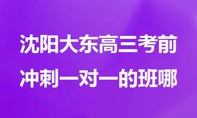 沈阳大东高三考前冲刺一对一的班哪家评价好
