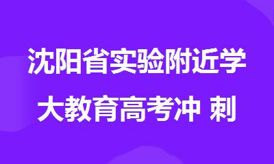 沈阳省实验附近学大教育高考冲 刺一对一班