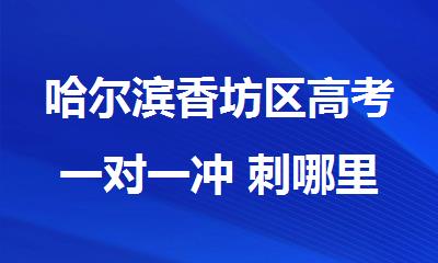 哈尔滨香坊区高考一对一冲 刺哪里的师资比较好