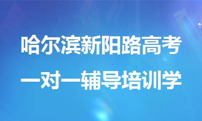 哈尔滨新阳路高考一对一辅导培训学校