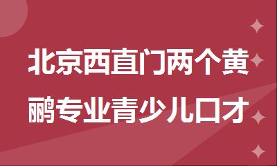 北京西直门两个黄鹂专业青少儿口才培训机构