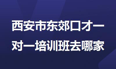 西安市东郊口才一对一培训班去哪家学习比较好