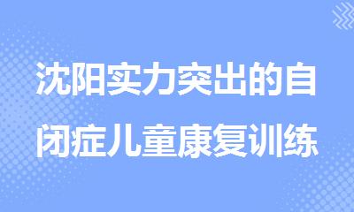 沈阳实力突出的自闭症儿童康复训练榜单推荐