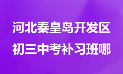 河北秦皇岛开发区初三中考补习班哪家好