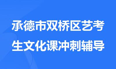 承德市双桥区艺考生文化课冲刺辅导机构精选