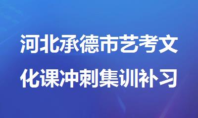 河北承德市艺考文化课冲刺集训补习班