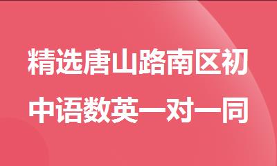 精选唐山路南区初中语数英一对一同步辅导学校