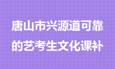 唐山市兴源道可靠的艺考生文化课补课培训机构