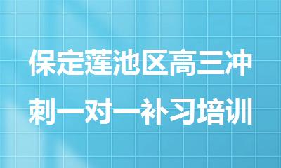 保定莲池区高三冲刺一对一补习培训机构