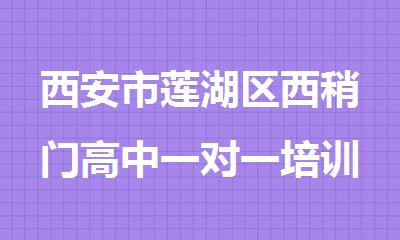 西安市莲湖区西稍门高中一对一培训辅导班