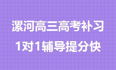 漯河高三高考补习1对1辅导提分快的机构家长信赖推荐